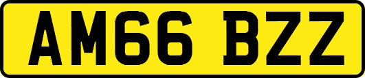 AM66BZZ