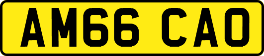 AM66CAO