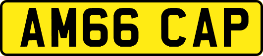 AM66CAP