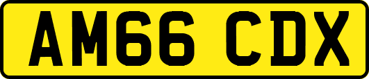 AM66CDX