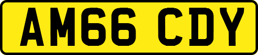 AM66CDY