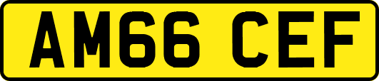 AM66CEF