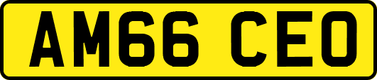 AM66CEO