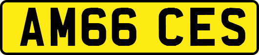 AM66CES
