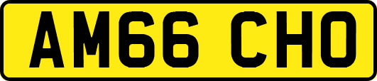 AM66CHO