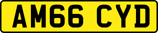 AM66CYD