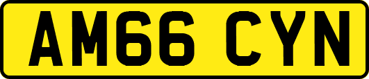 AM66CYN