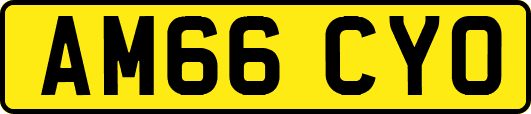 AM66CYO