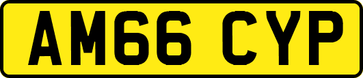 AM66CYP