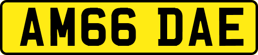 AM66DAE