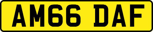 AM66DAF