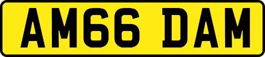 AM66DAM