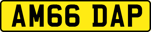 AM66DAP