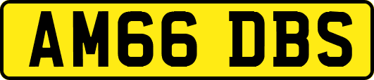 AM66DBS