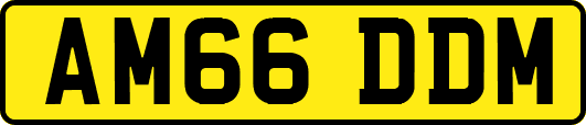 AM66DDM