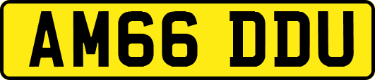 AM66DDU