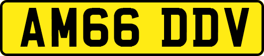 AM66DDV