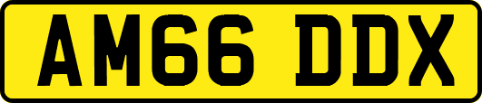 AM66DDX