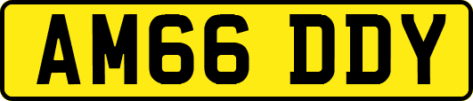 AM66DDY