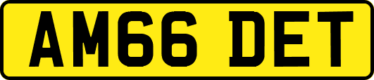 AM66DET