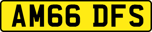 AM66DFS