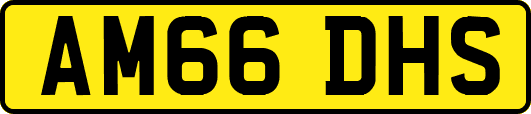 AM66DHS