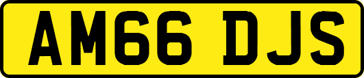 AM66DJS