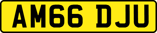 AM66DJU