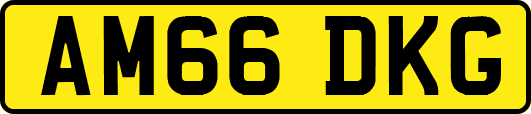 AM66DKG