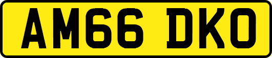 AM66DKO