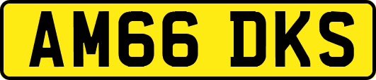 AM66DKS