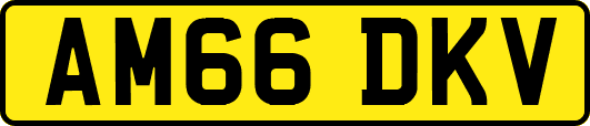 AM66DKV