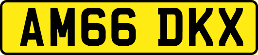 AM66DKX