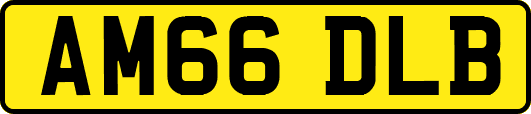 AM66DLB