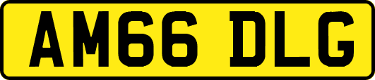 AM66DLG