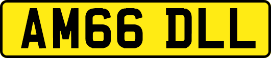 AM66DLL