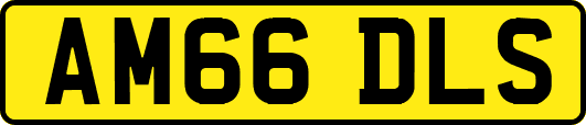 AM66DLS