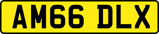 AM66DLX