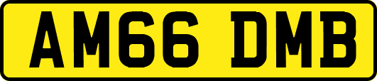 AM66DMB