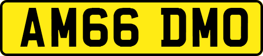 AM66DMO