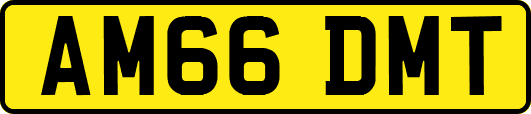 AM66DMT