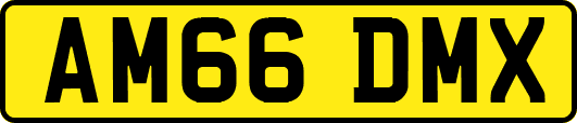 AM66DMX