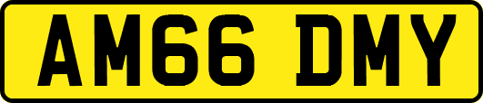 AM66DMY