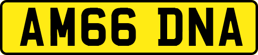 AM66DNA