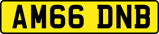 AM66DNB