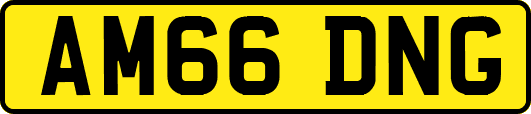 AM66DNG