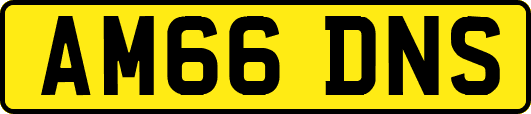 AM66DNS