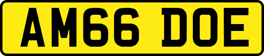 AM66DOE