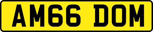AM66DOM