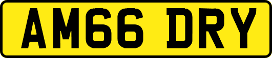 AM66DRY
